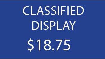 CLASSIFIED DISPLAY $18.75